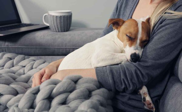 Dog sleeping on woman